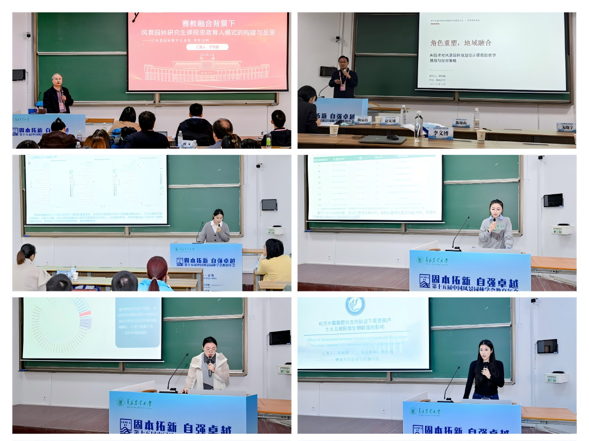 WPS拼图0.png