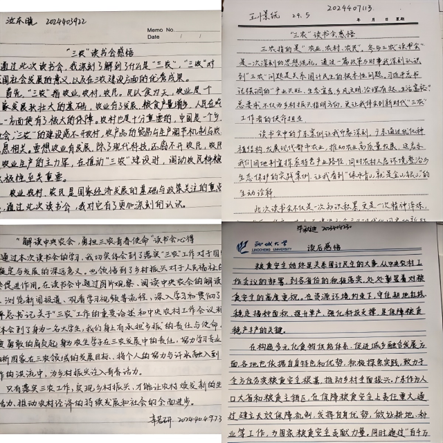 WPS拼图0(1)(1).png