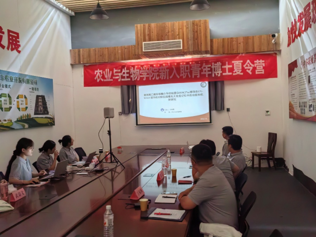 图片29.png