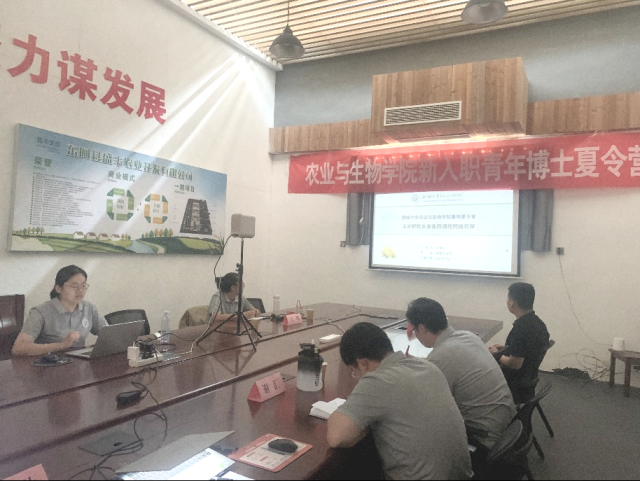 图片29(1).png