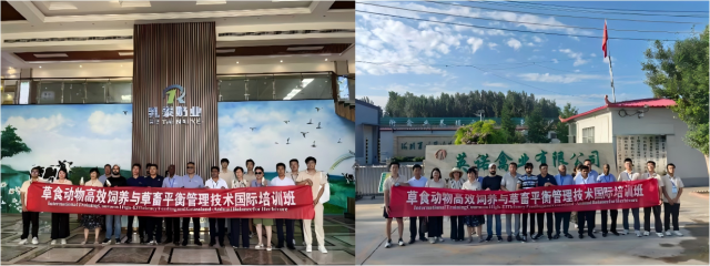 WPS拼图0.png