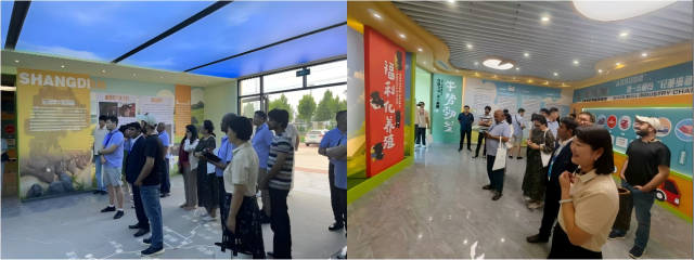WPS拼图0.png
