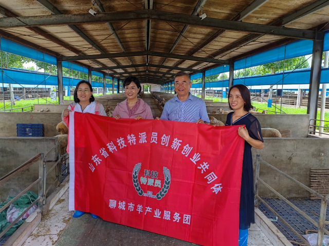 图片1(1).png