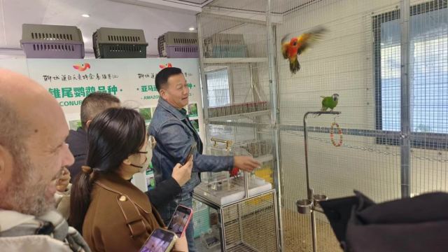 20251120176360303362100545.png 图片2.png